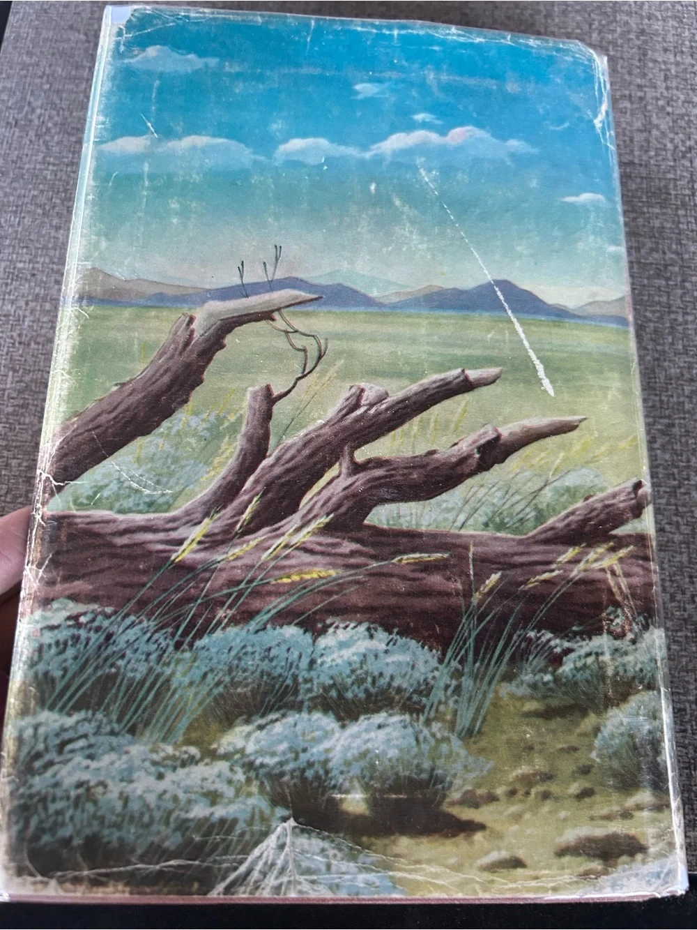 vintage hardcover book of The Life and Times of Wyatt Earp by Stuart N. Lake